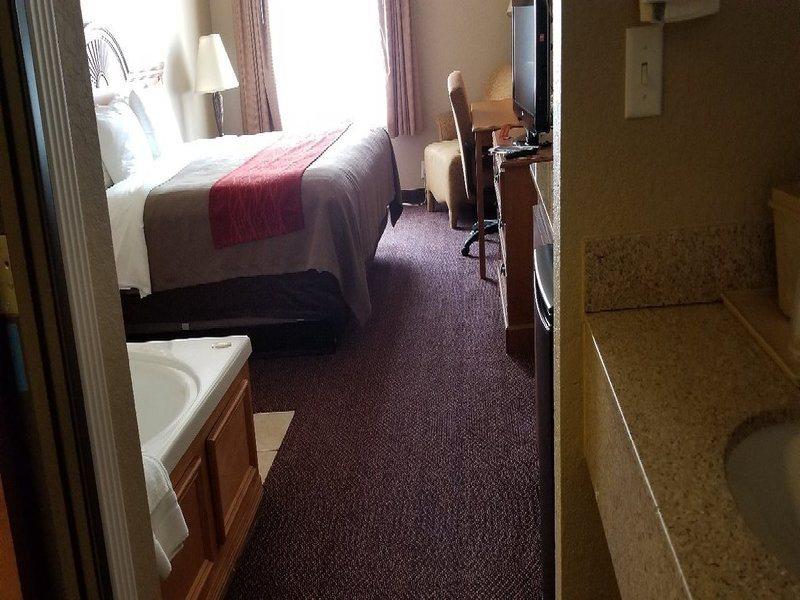Comfort Inn & Suites And Suites Fredericksburg Bagian luar foto